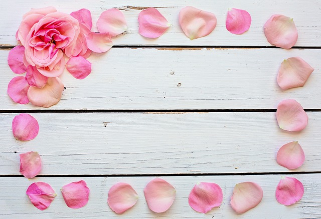 バラはプロポーズにぴったりな愛の花言葉があります